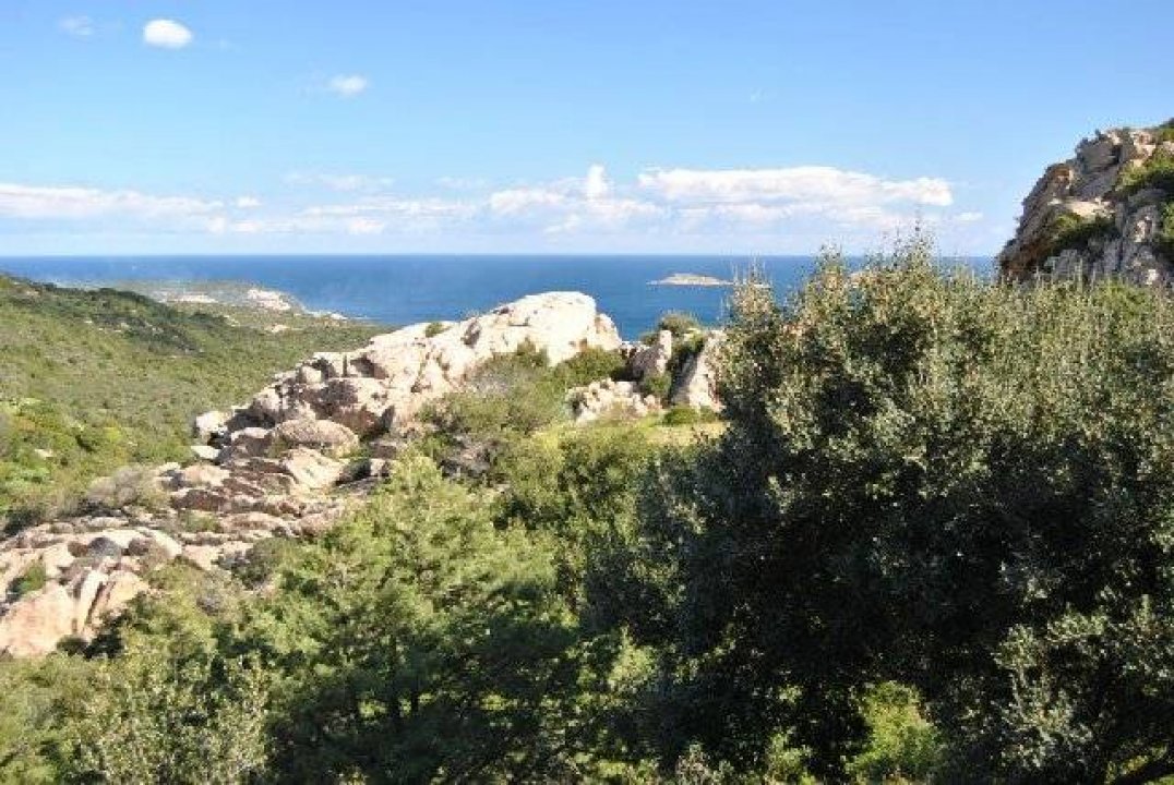 Vendita villa sul mare Arzachena Ot Sardegna foto 9