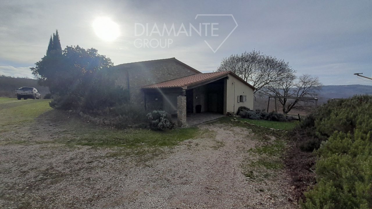 Vendita terreno in  Scansano Toscana foto 5