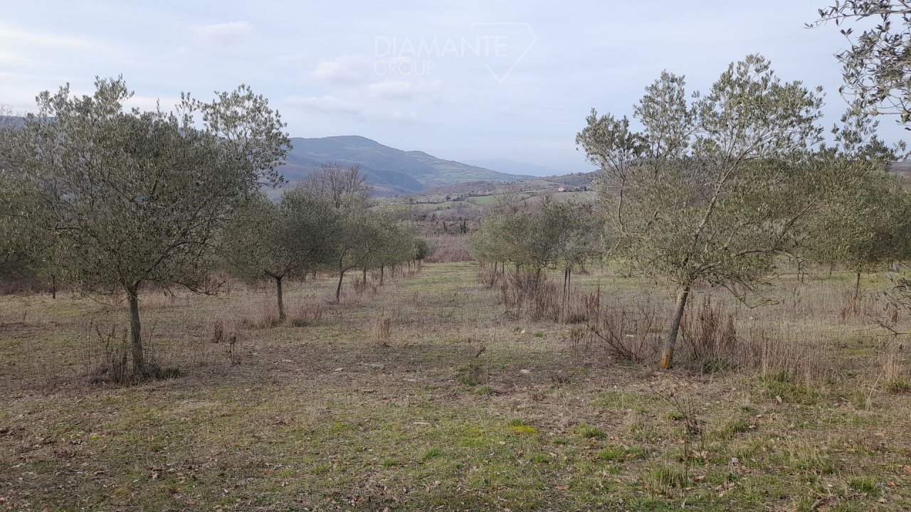 Vendita terreno in  Scansano Toscana foto 10