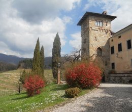Castello Zona tranquilla Torreano Friuli-Venezia Giulia