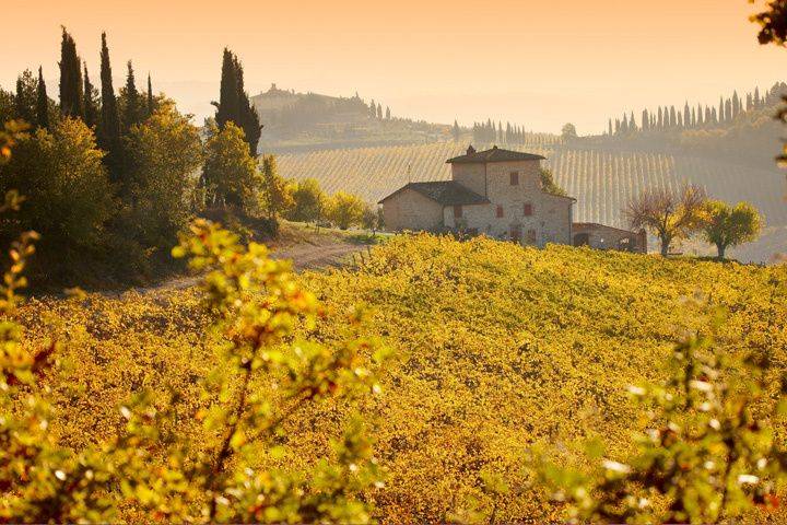 chianti-classico-vineyards-in-autumn-2022-03-08-00-14-23-utc.jpg