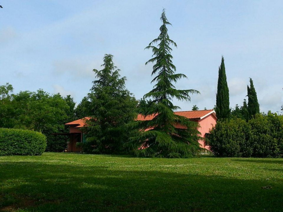 Vendita villa in zona tranquilla Gallese Lazio foto 1