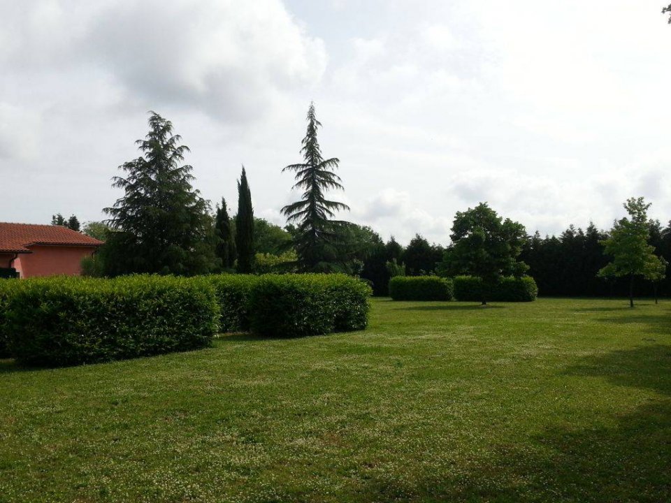 Vendita villa in zona tranquilla Gallese Lazio foto 10