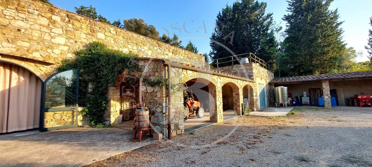 Vendita casale in zona tranquilla Castellina in Chianti Toscana foto 21