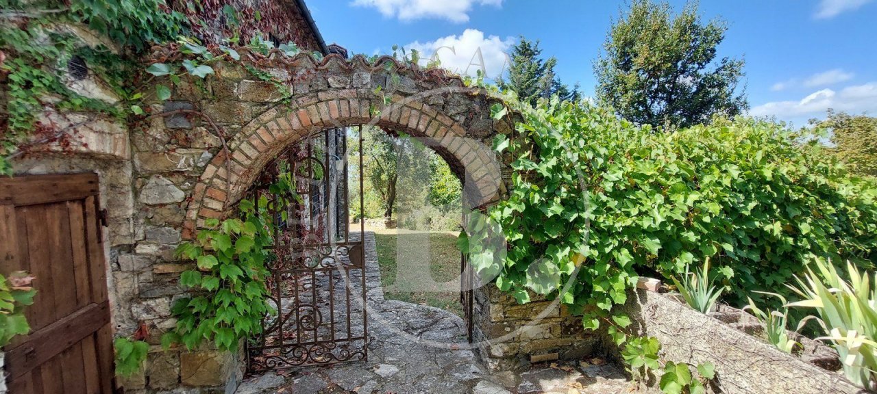Vendita casale in zona tranquilla Castellina in Chianti Toscana foto 8