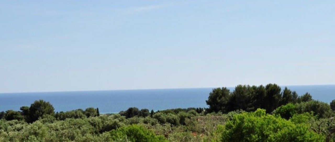 Vendita villa sul mare Salve Puglia foto 14