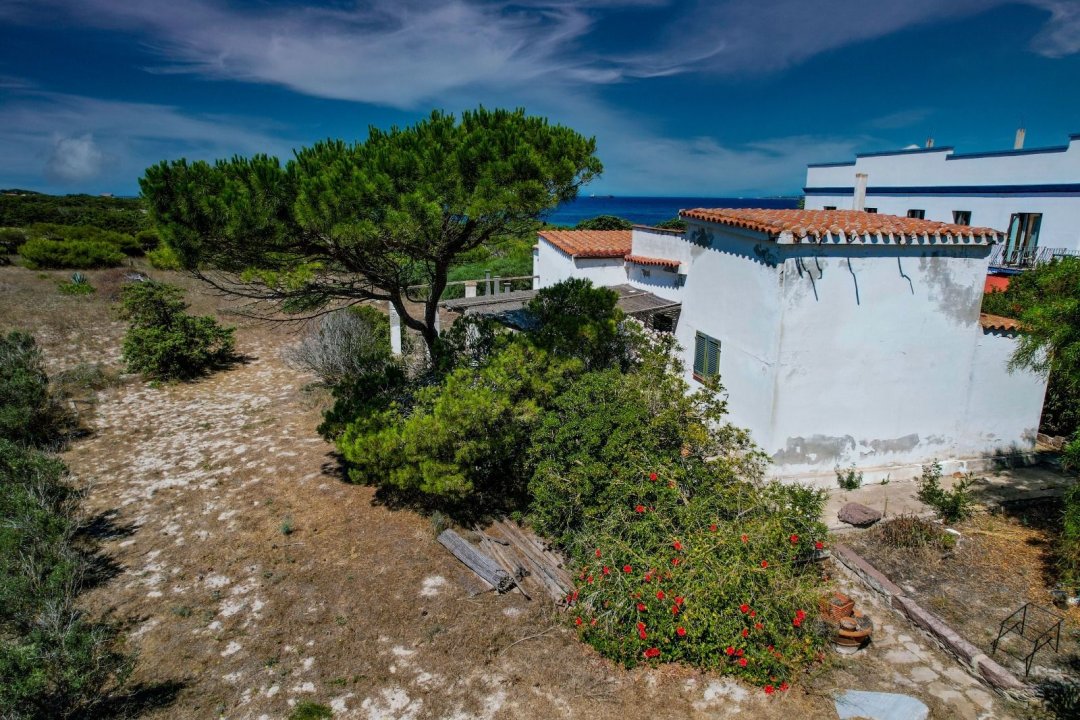Vendita villa sul mare Calasetta Sardegna foto 13