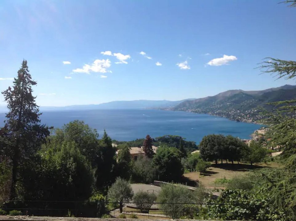 Affitto breve villa sul mare Camogli Liguria foto 3