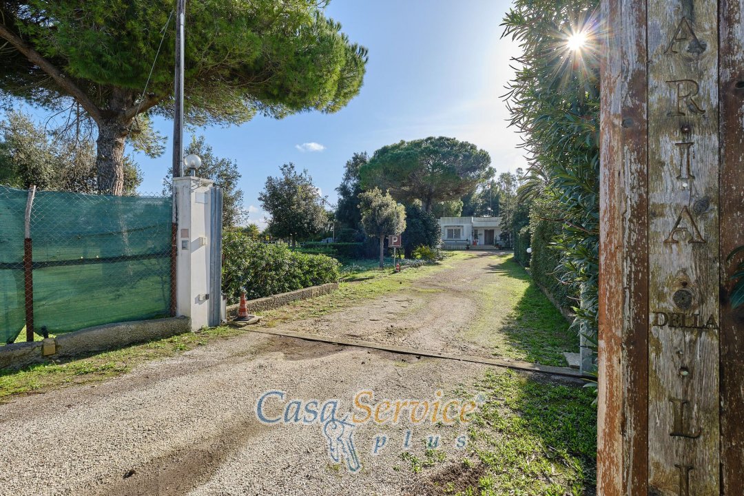 Vendita operazione immobiliare in campagna Alezio Puglia foto 8