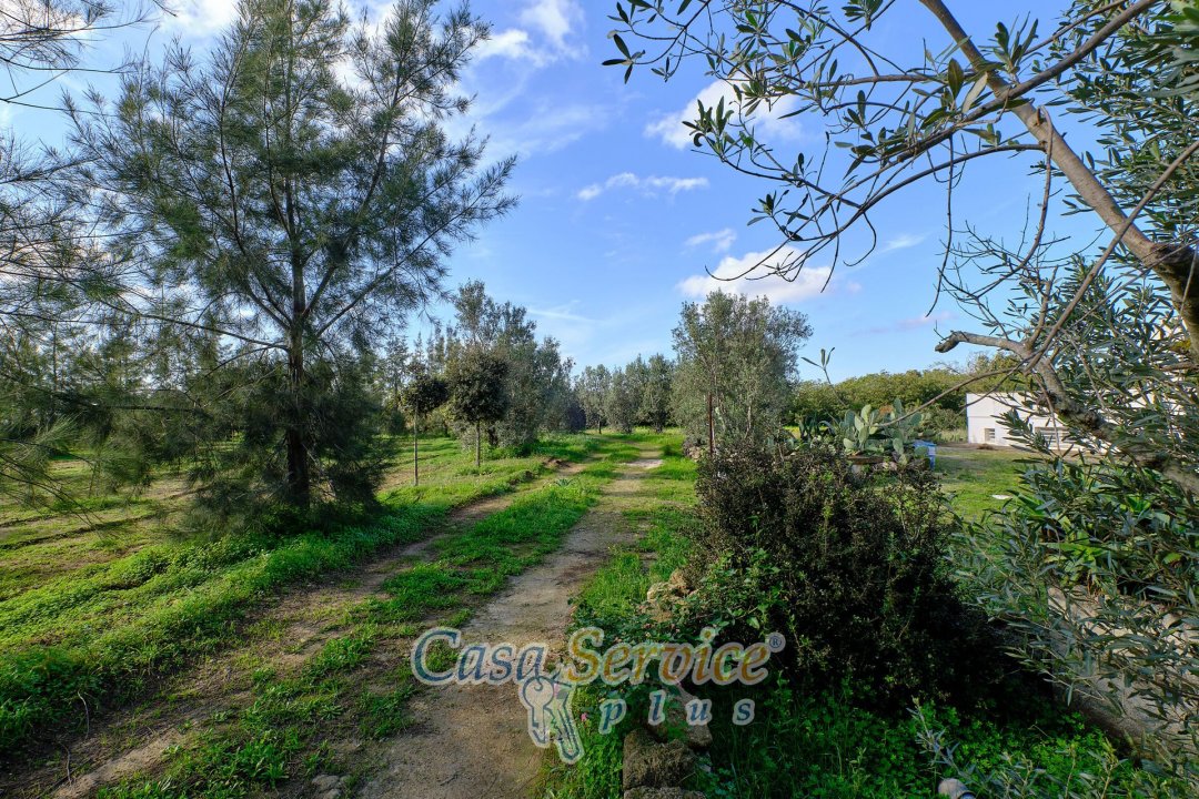 Vendita operazione immobiliare in campagna Alezio Puglia foto 34