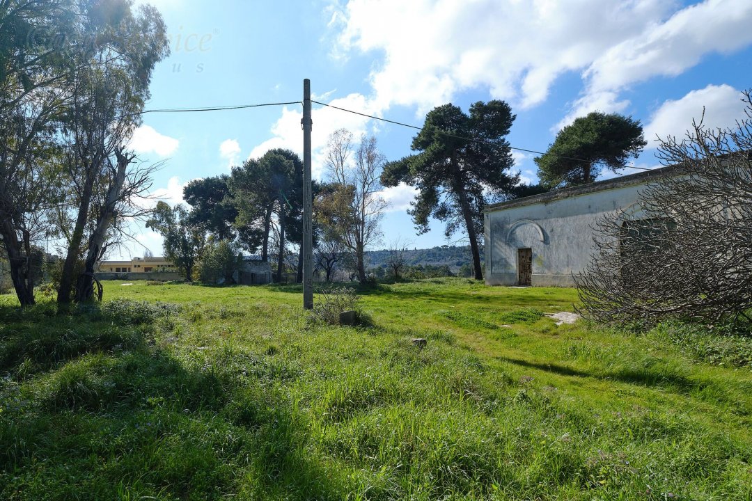 Vendita palazzo in campagna Specchia Puglia foto 5