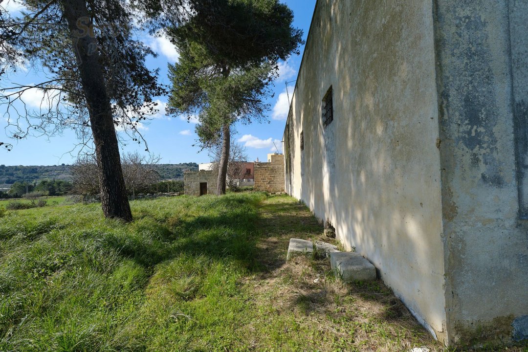 Vendita palazzo in campagna Specchia Puglia foto 15