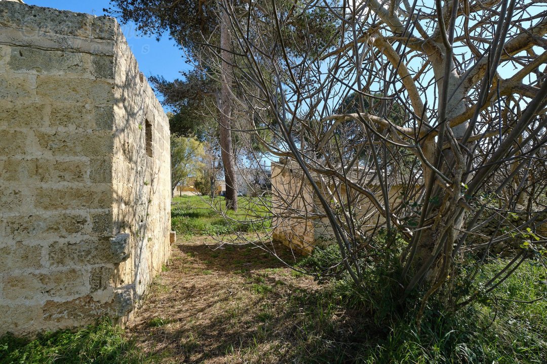 Vendita palazzo in campagna Specchia Puglia foto 23