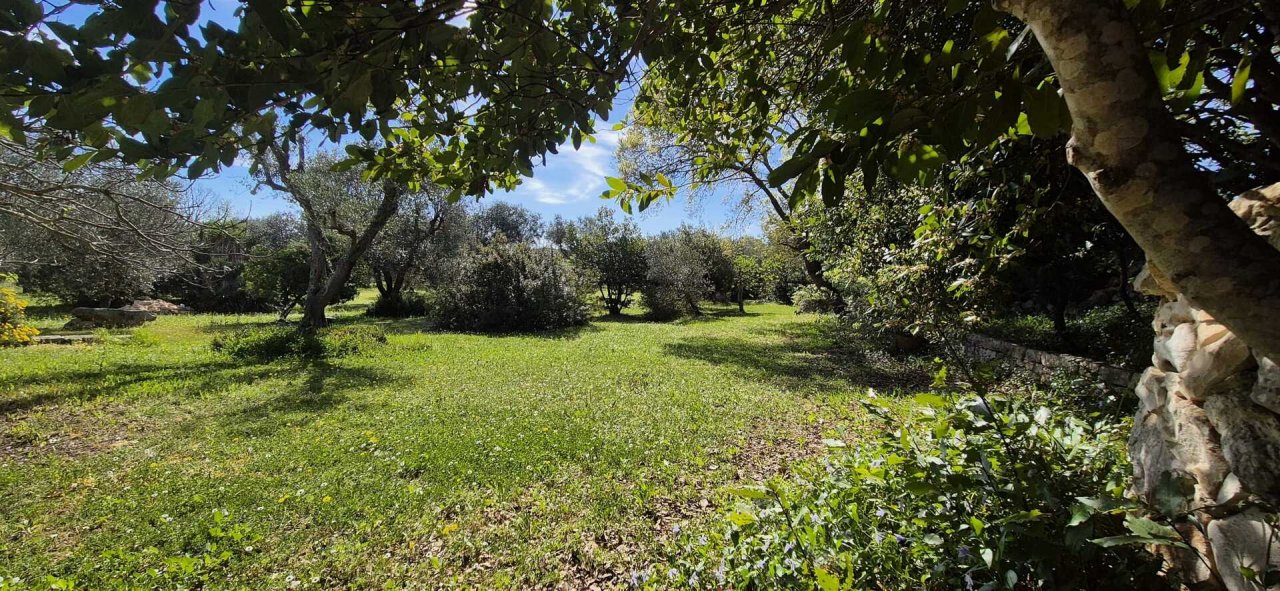 Vendita villa in campagna Ceglie Messapica Puglia foto 9