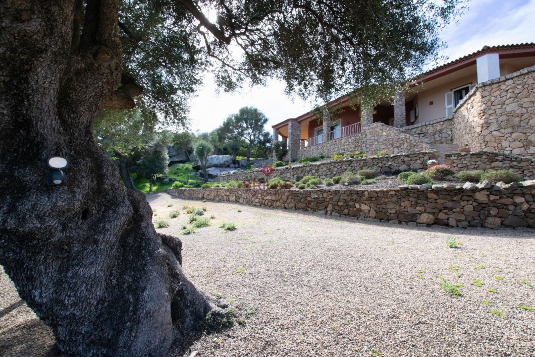 Vendita villa in città Arzachena Sardegna foto 48