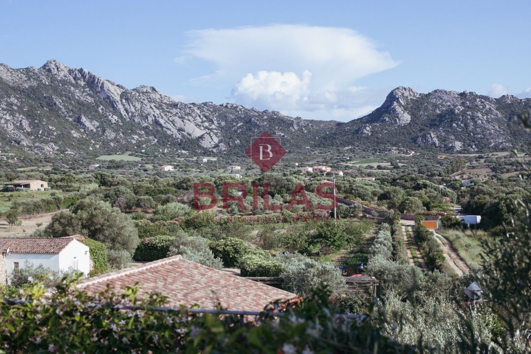 Vendita villa in zona tranquilla Golfo Aranci Sardegna foto 29