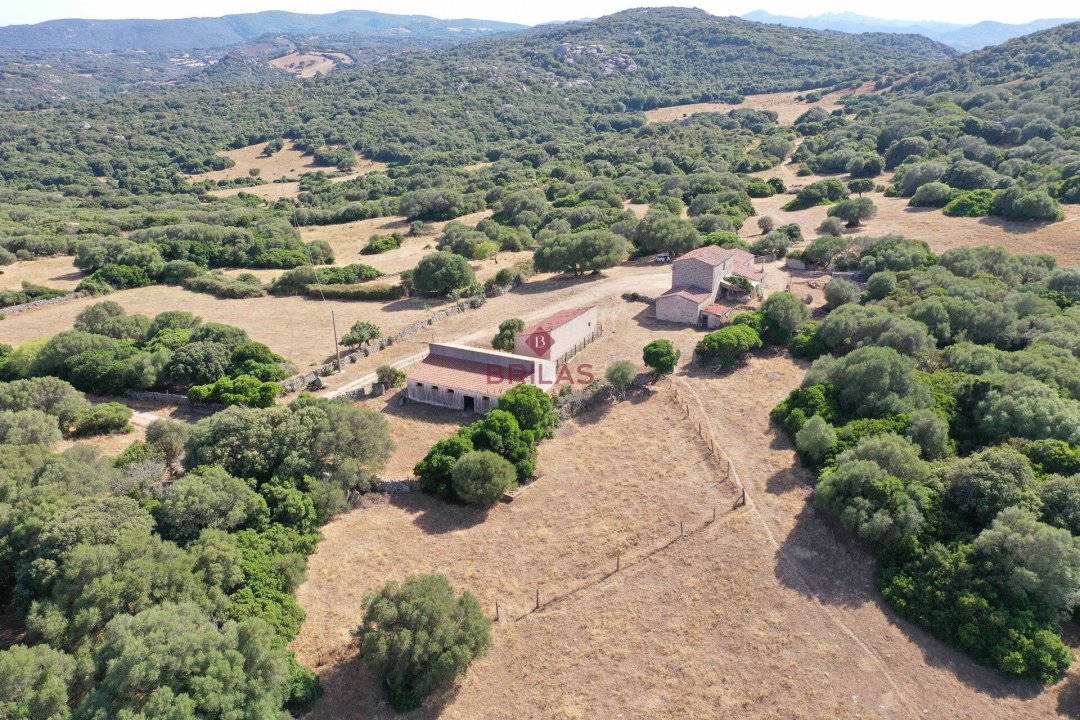 Vendita terreno in campagna Luogosanto Sardegna foto 20