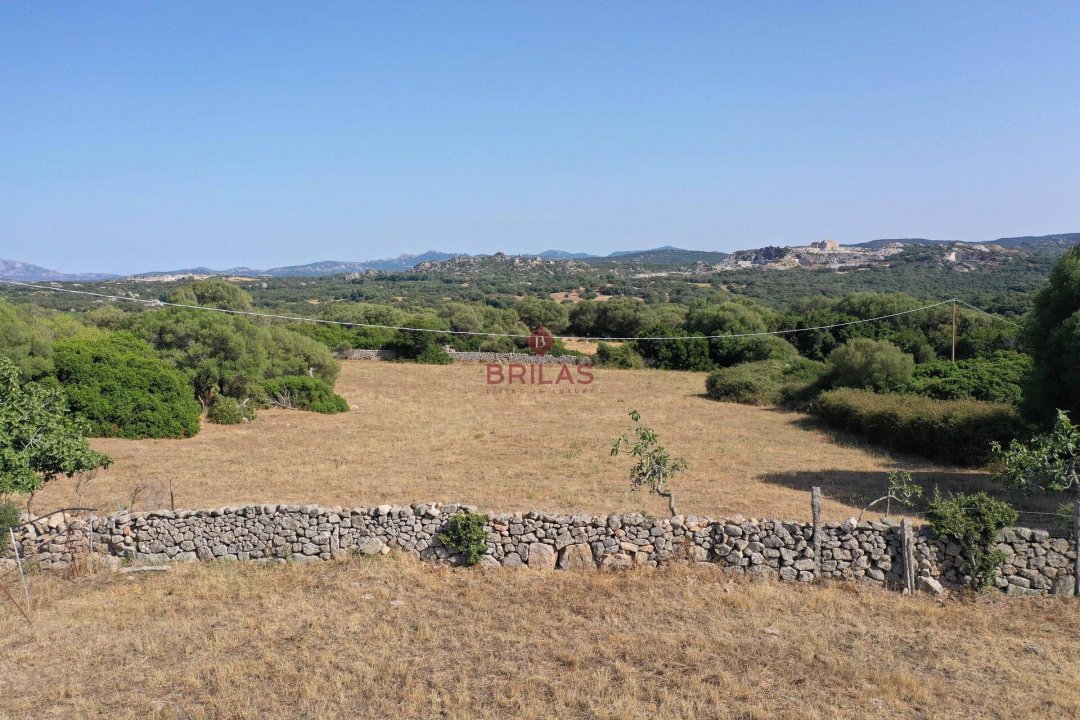 Vendita terreno in campagna Luogosanto Sardegna foto 21