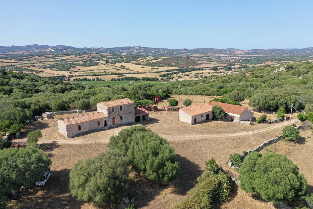 Vendita terreno in campagna Luogosanto Sardegna foto 2