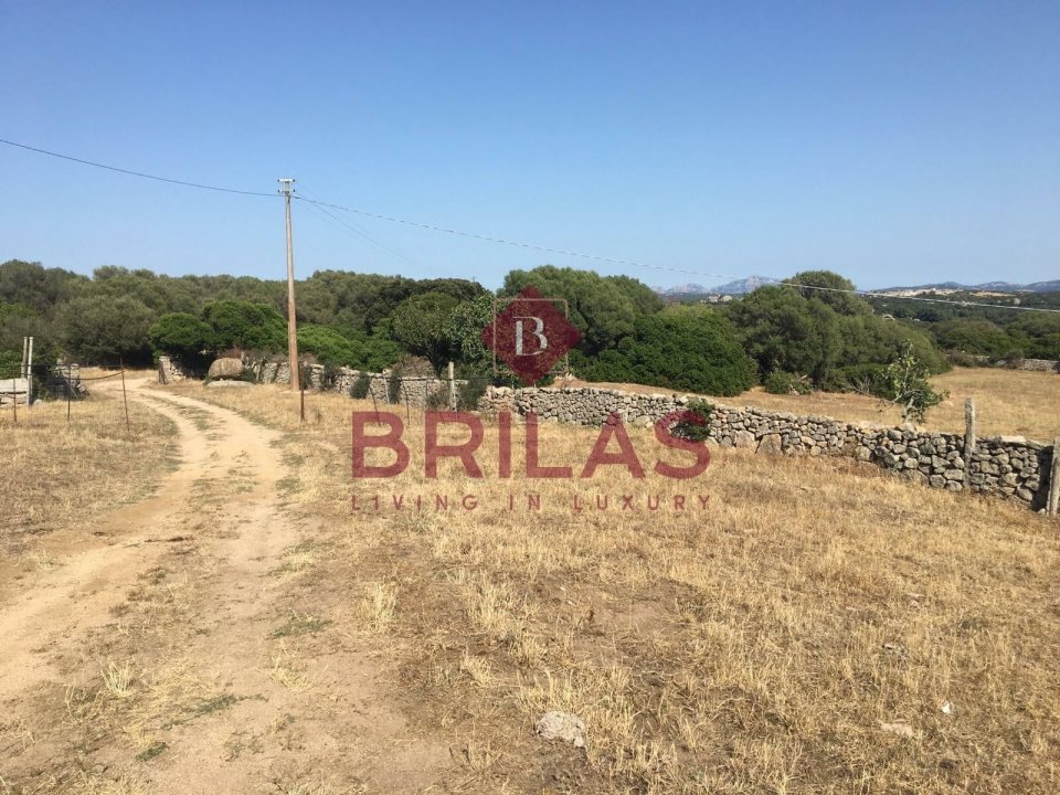 Vendita terreno in campagna Luogosanto Sardegna foto 24