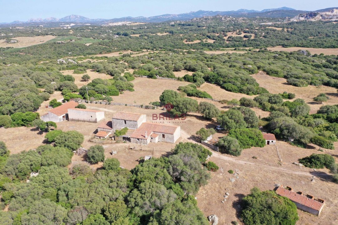 Vendita terreno in campagna Luogosanto Sardegna foto 29