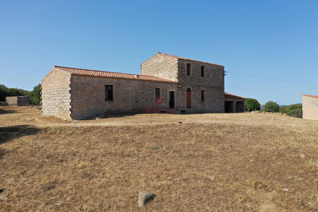 Vendita terreno in campagna Luogosanto Sardegna foto 7