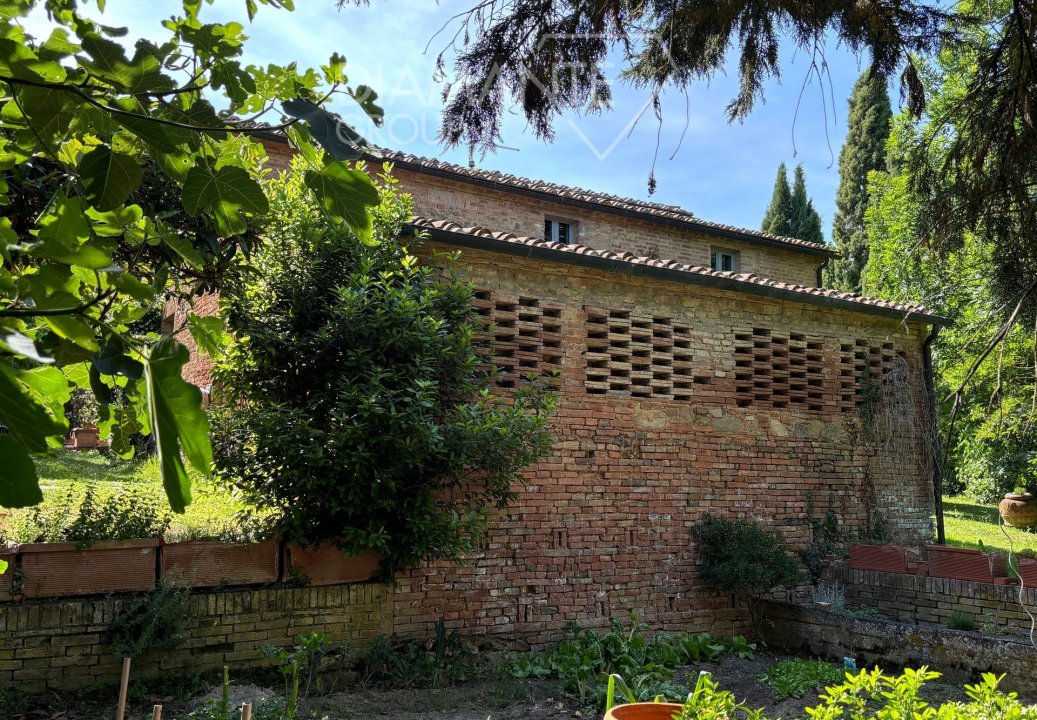 Vendita operazione immobiliare in campagna Buonconvento Toscana foto 13
