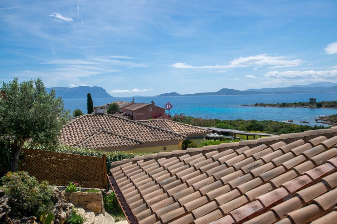 Vendita villa sul mare Golfo Aranci Sardegna foto 11