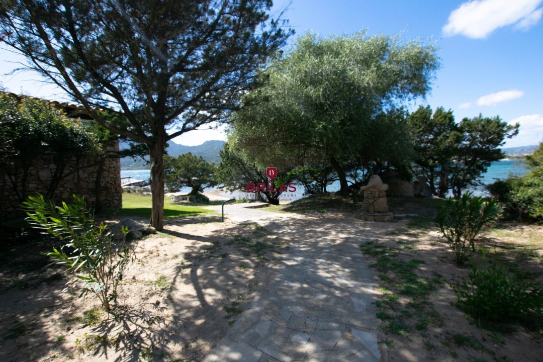 Vendita villa sul mare Olbia Sardegna foto 33