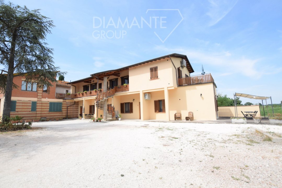 Vendita operazione immobiliare in campagna Castiglione del Lago Umbria foto 7