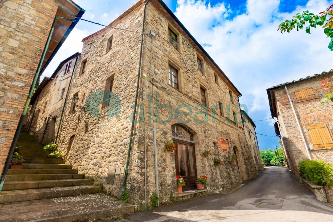 Vendita casale in campagna Castelnuovo di Val di Cecina Toscana foto 12
