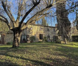 Casale Zona tranquilla Montescudaio Toscana