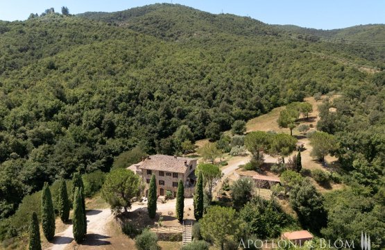 Vendita Casale Campagna Piegaro Umbria