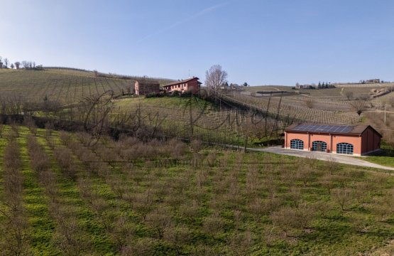 Vendita Attività commerciale Campagna Nizza Monferrato Piemonte