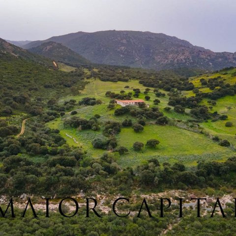 Terreno Zona tranquilla