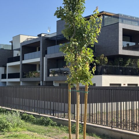 Attico Città