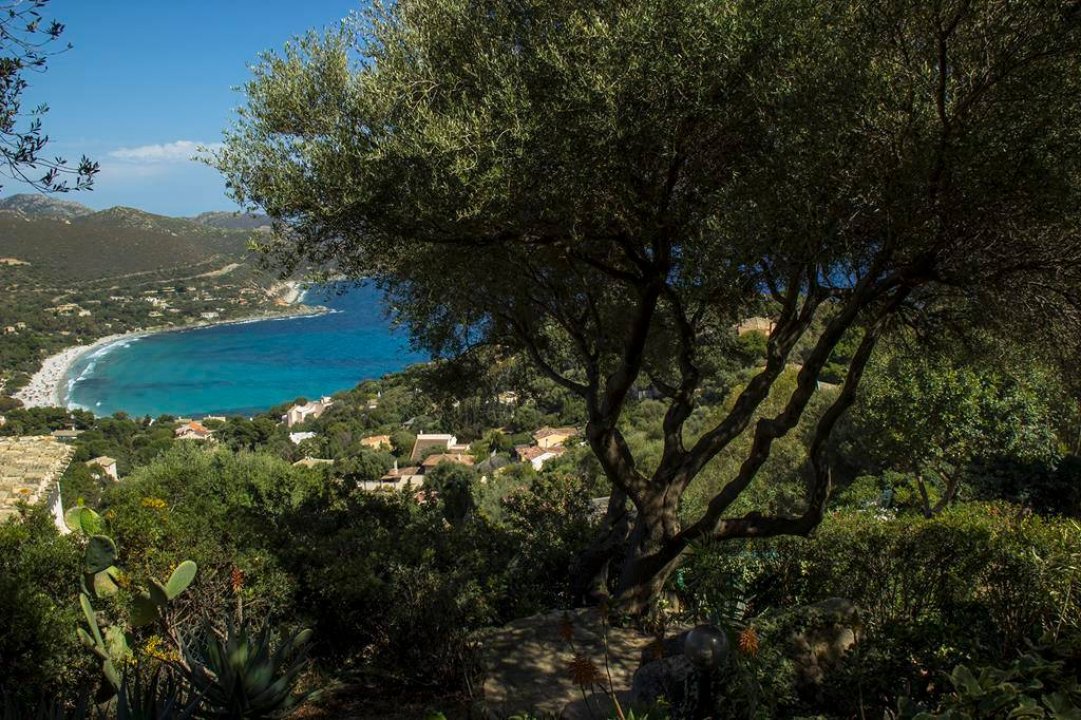 Vendita villa sul mare Villasimius Sardegna foto 10