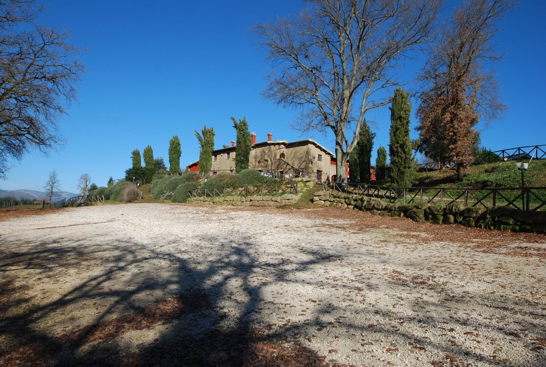 Vendita casale in zona tranquilla Pitigliano Toscana foto 17
