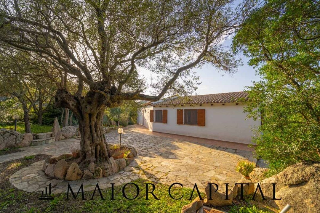 Vendita villa in zona tranquilla Arzachena Sardegna foto 29