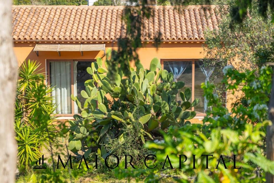 Vendita villa in zona tranquilla Olbia Sardegna foto 17