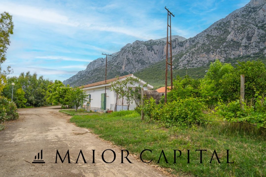 Vendita terreno in montagna Siniscola Sardegna foto 36