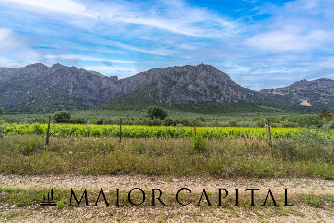 Vendita terreno in montagna Siniscola Sardegna foto 38