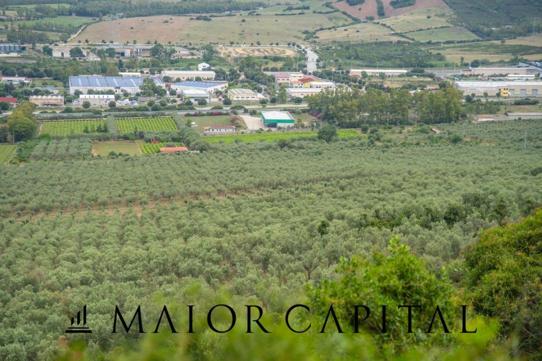 Vendita terreno in montagna Siniscola Sardegna foto 41