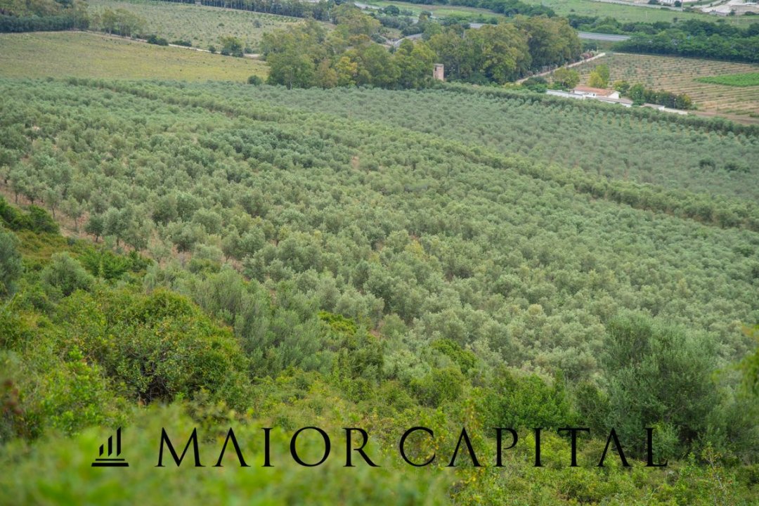 Vendita terreno in montagna Siniscola Sardegna foto 47
