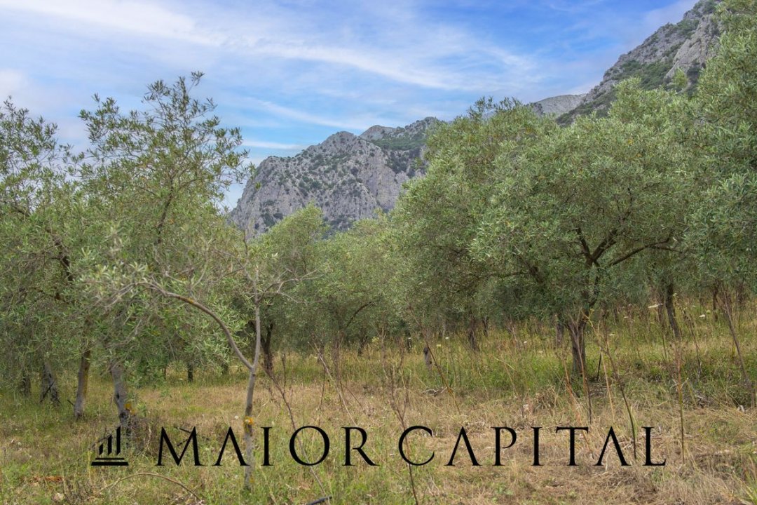 Vendita terreno in montagna Siniscola Sardegna foto 46