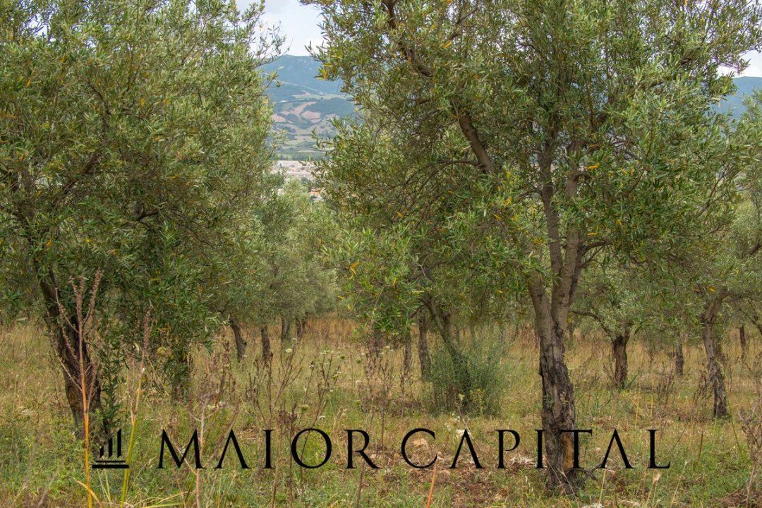 Vendita terreno in montagna Siniscola Sardegna foto 50