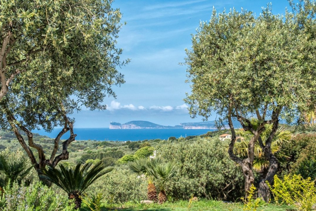 Vendita villa sul mare Alghero Sardegna foto 3