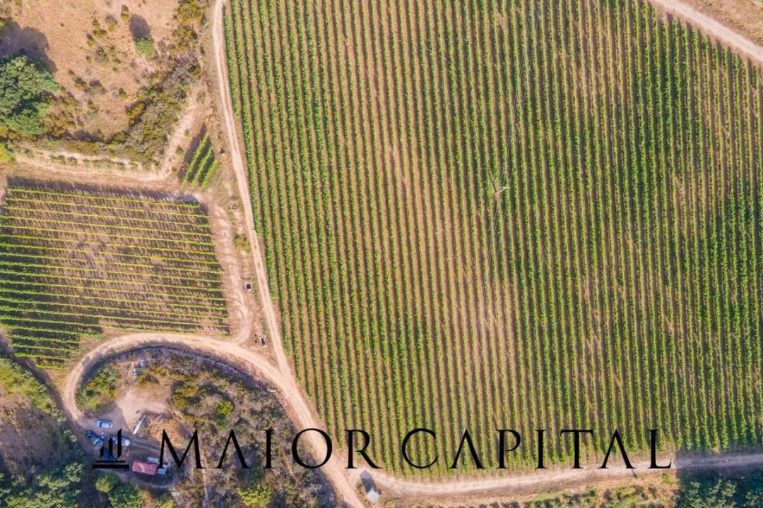 Vendita terreno in zona tranquilla Sant´Antonio di Gallura Sardegna foto 22
