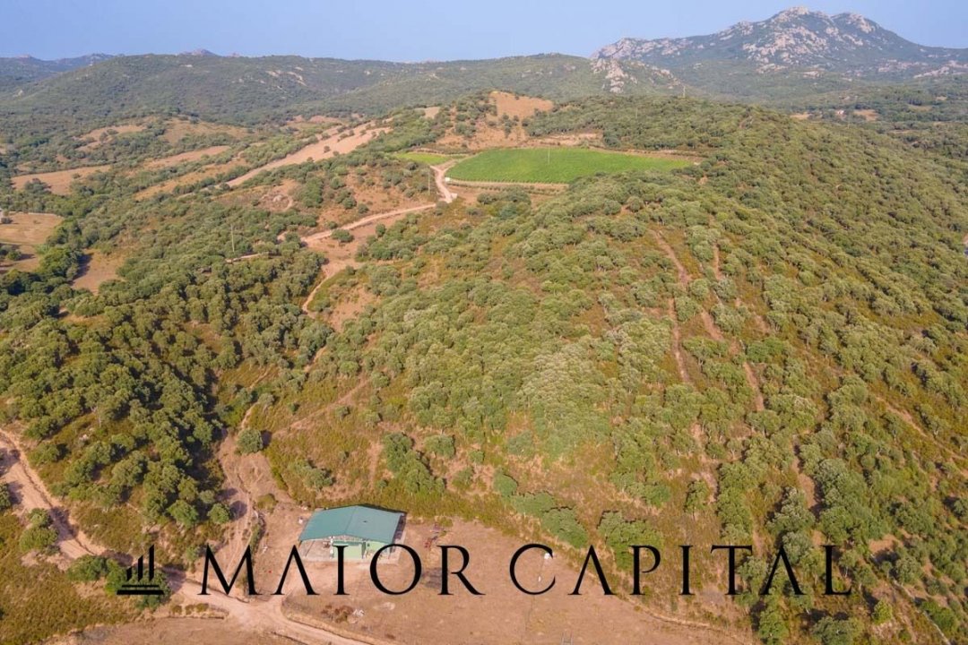 Vendita terreno in zona tranquilla Sant´Antonio di Gallura Sardegna foto 27