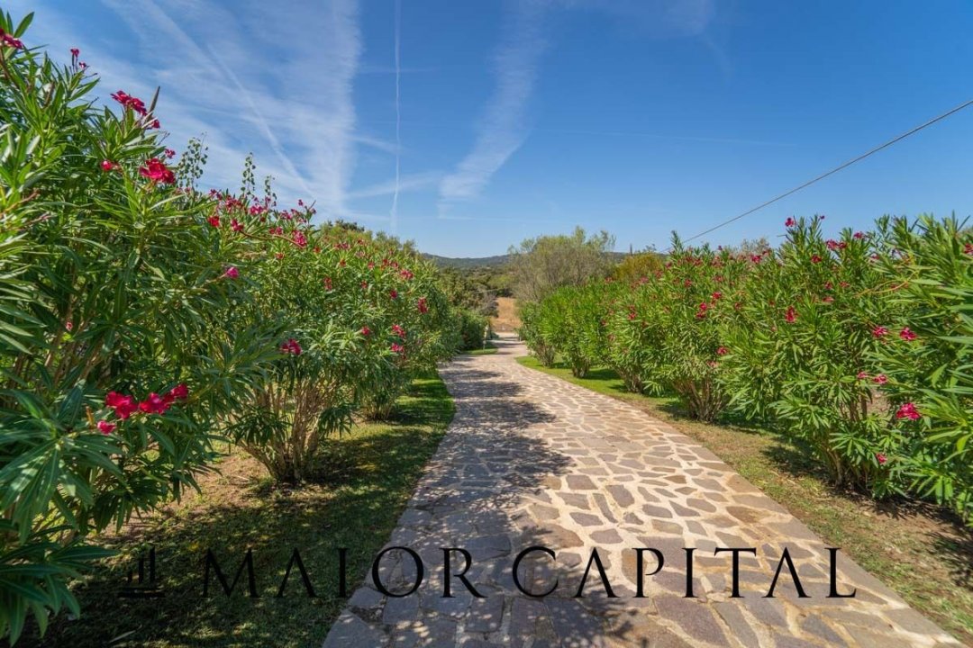 For sale villa in quiet zone Olbia Sardegna foto 50